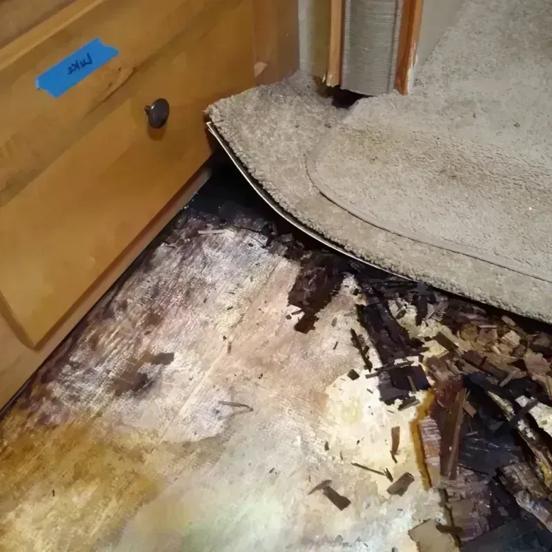 Wood Floor Water Damage in Noble, OK